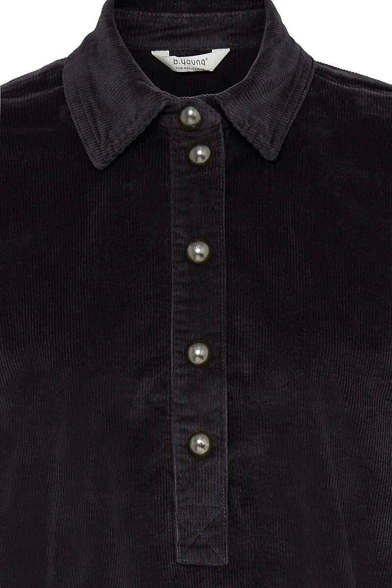 B.YOUNG - Dasik Kordkjole Meteorite